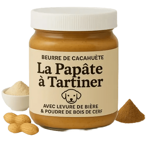 Papâte à tartiner Cernunos - Le Royaume de Lecki