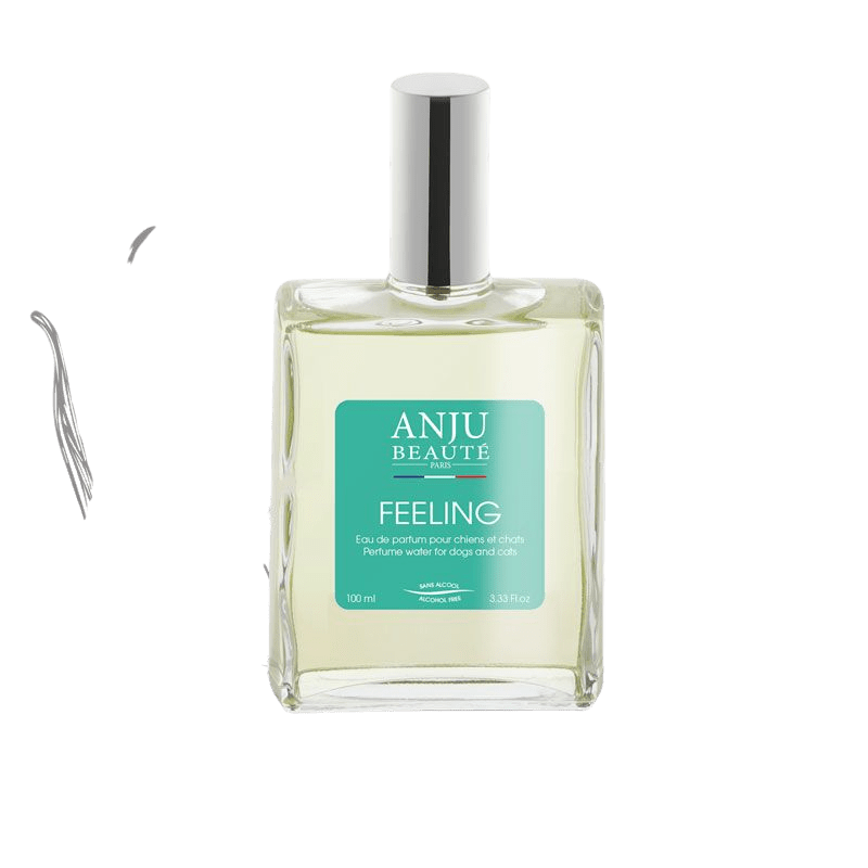 Parfum Feeling senteur Vanille - Le Royaume de Lecki
