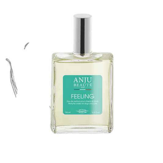Parfum Feeling senteur Vanille - Le Royaume de Lecki