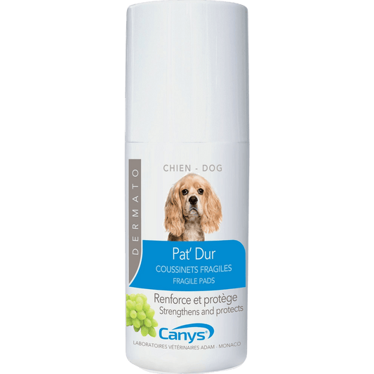 Pat'Dur vaporisateur Canys - Le Royaume de Lecki