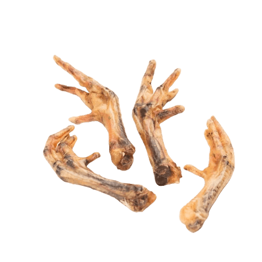 Pattes de poulet pour chien - Le Royaume de Lecki