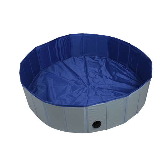 Piscine pour chiens - Le Royaume de Lecki