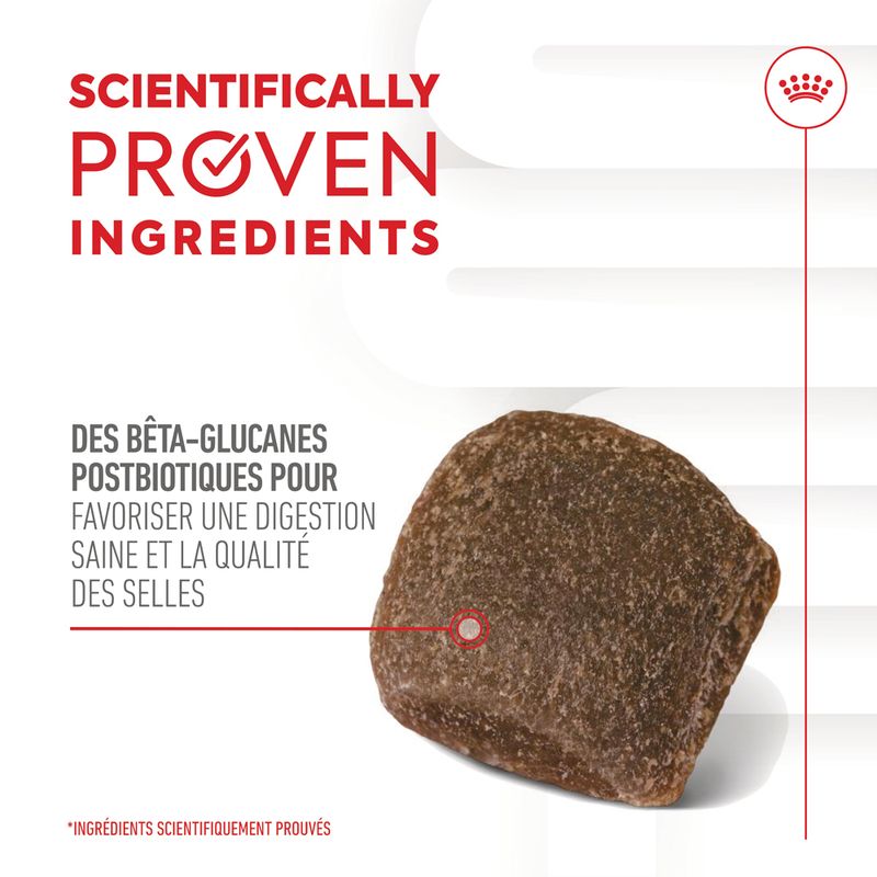 ROYAL CANIN® Adult Digestion Chews - Le Royaume de Lecki