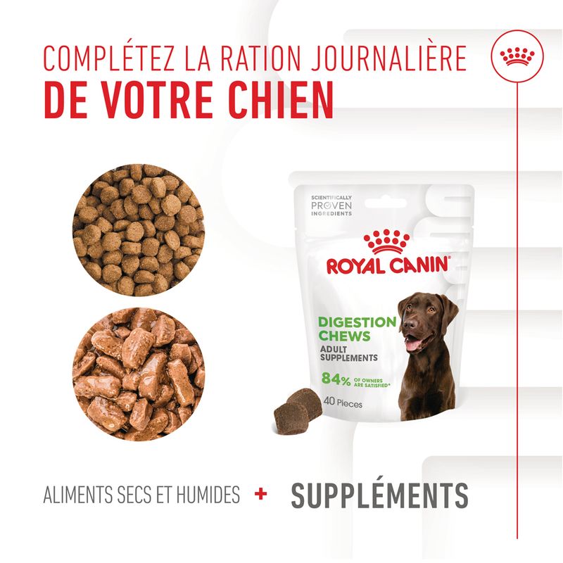 ROYAL CANIN® Adult Digestion Chews - Le Royaume de Lecki