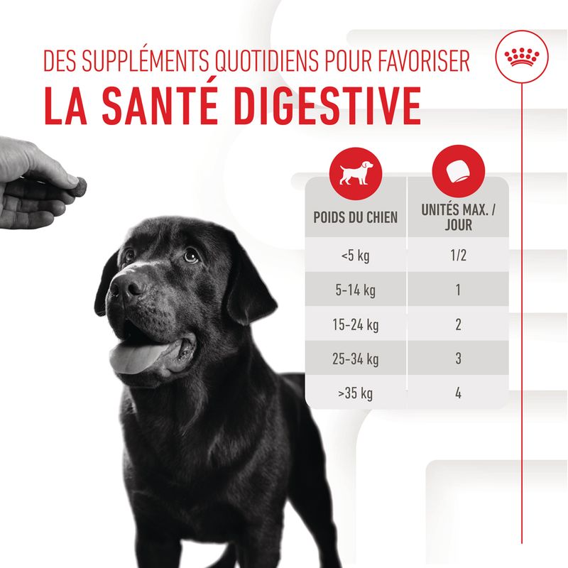 ROYAL CANIN® Adult Digestion Chews - Le Royaume de Lecki
