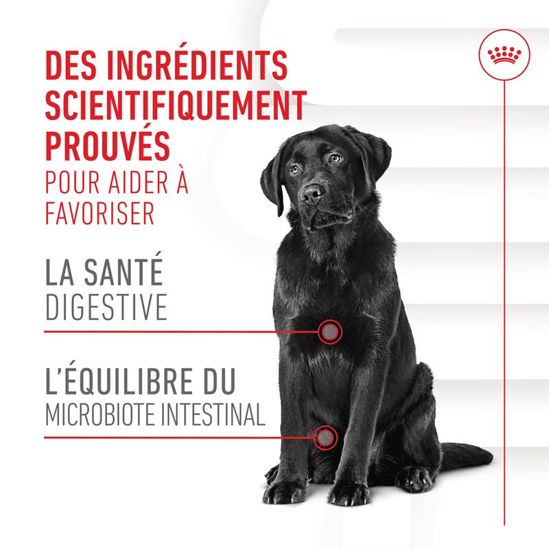 ROYAL CANIN® Adult Digestion Chews - Le Royaume de Lecki