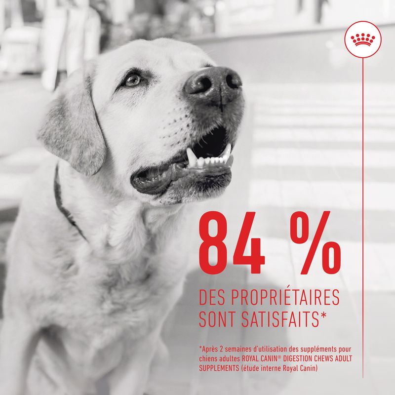 ROYAL CANIN® Adult Digestion Chews - Le Royaume de Lecki