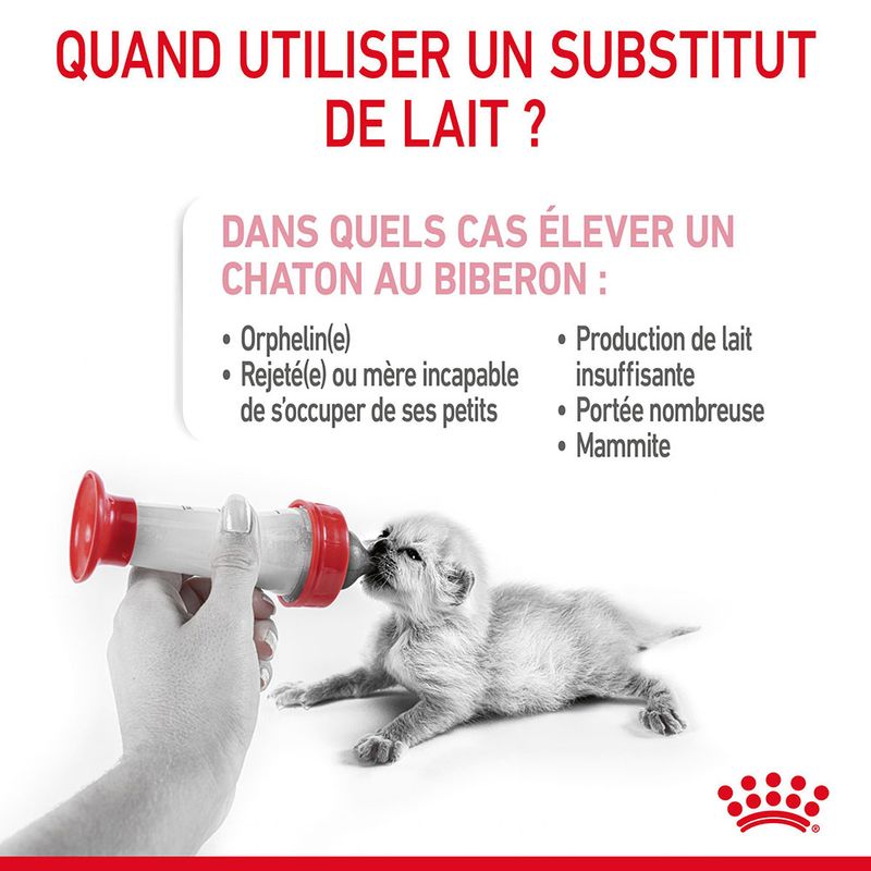 ROYAL CANIN® BabyCat Milk - Le Royaume de Lecki