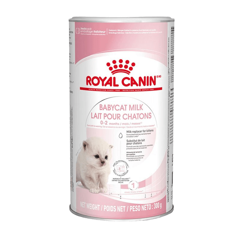 ROYAL CANIN® BabyCat Milk - Le Royaume de Lecki
