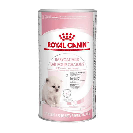 ROYAL CANIN® BabyCat Milk - Le Royaume de Lecki