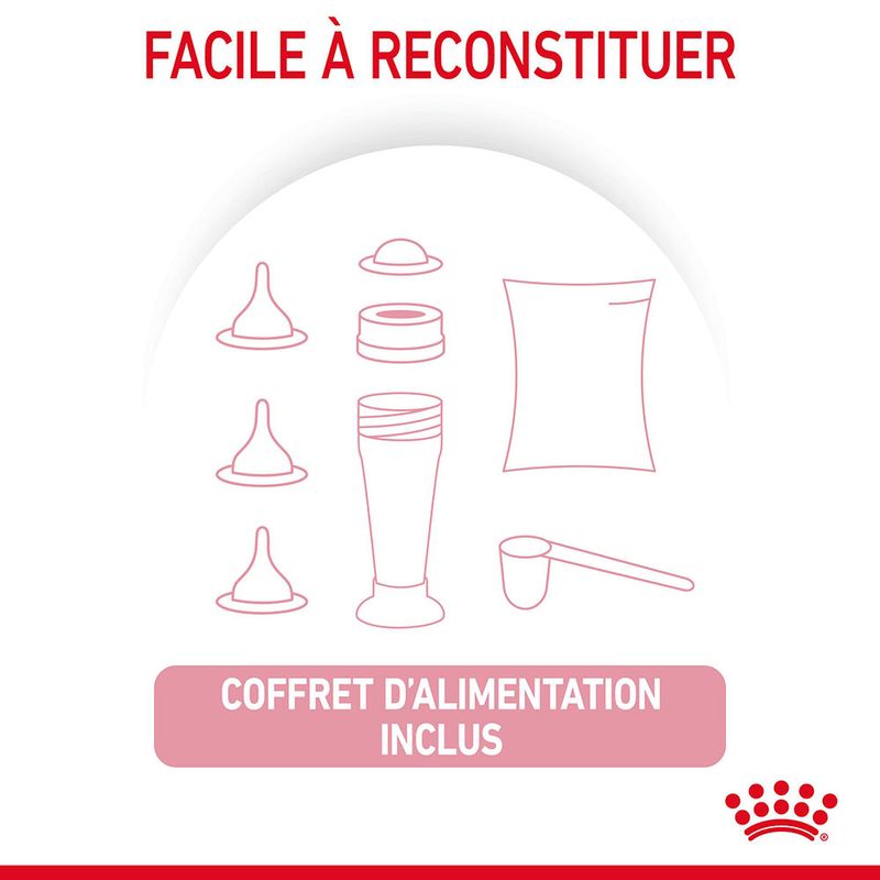 ROYAL CANIN® BabyCat Milk - Le Royaume de Lecki