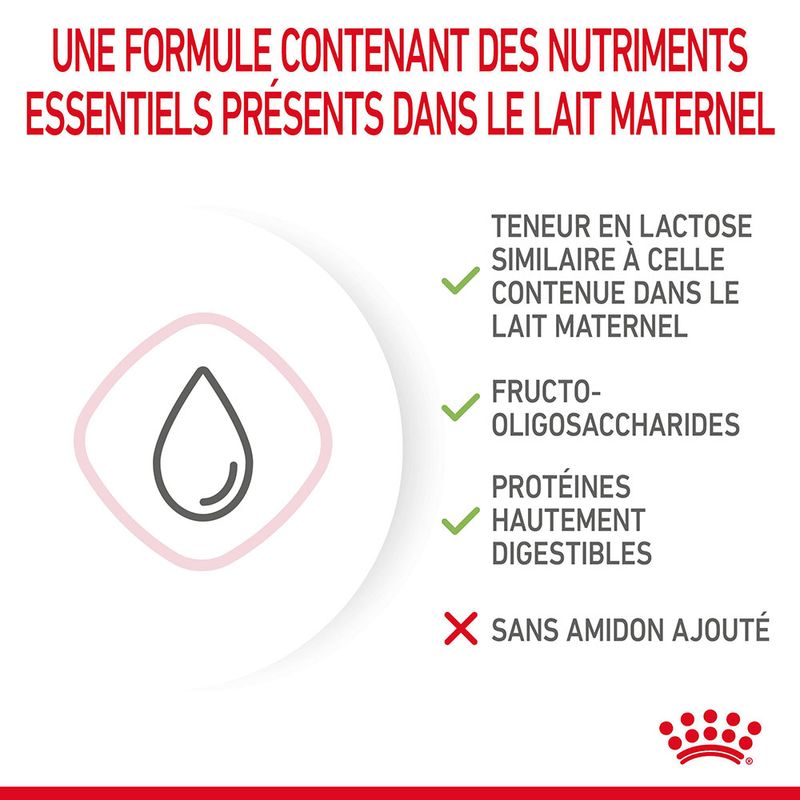 ROYAL CANIN® BabyCat Milk - Le Royaume de Lecki