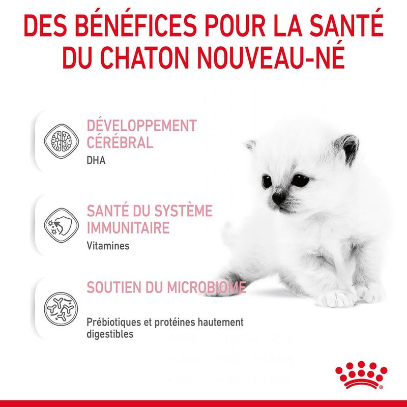 ROYAL CANIN® BabyCat Milk - Le Royaume de Lecki