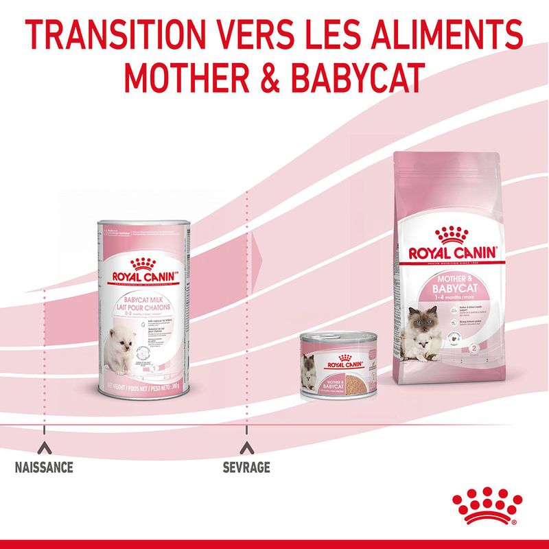 ROYAL CANIN® BabyCat Milk - Le Royaume de Lecki