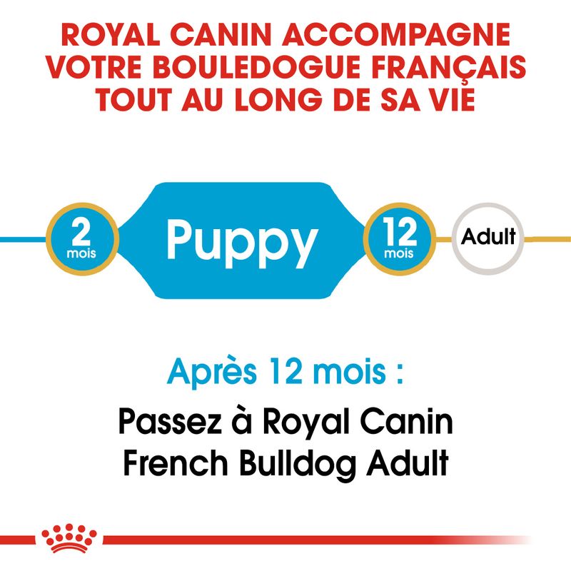 ROYAL CANIN® Bouledogue Français Puppy - Le Royaume de Lecki