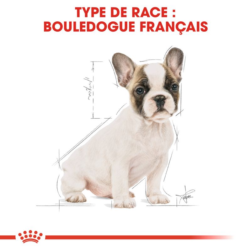 ROYAL CANIN® Bouledogue Français Puppy - Le Royaume de Lecki