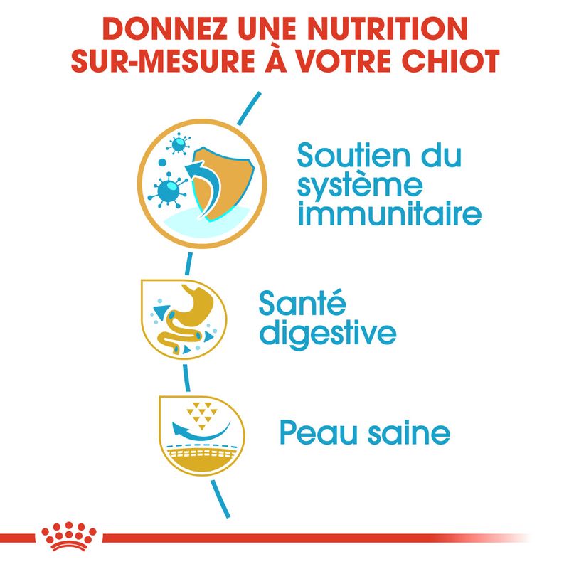 ROYAL CANIN® Bouledogue Français Puppy - Le Royaume de Lecki