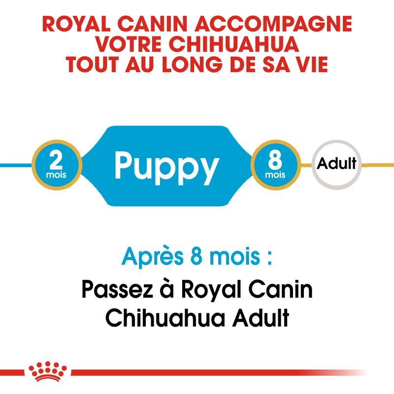 ROYAL CANIN® Chihuahua Puppy - Le Royaume de Lecki