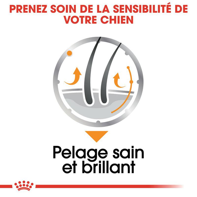 ROYAL CANIN® Coat Care Mousse - Le Royaume de Lecki