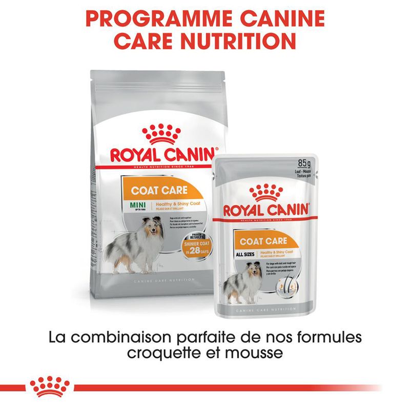 ROYAL CANIN® Coat Care Mousse - Le Royaume de Lecki