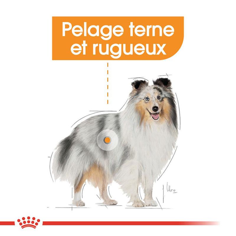 ROYAL CANIN® Coat Care Mousse - Le Royaume de Lecki