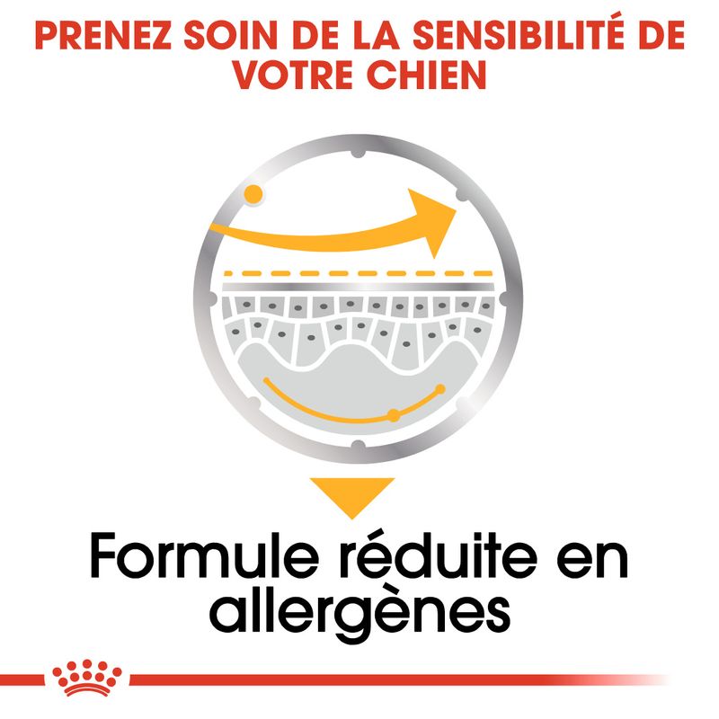 ROYAL CANIN® Dermacomfort Mousse - Le Royaume de Lecki