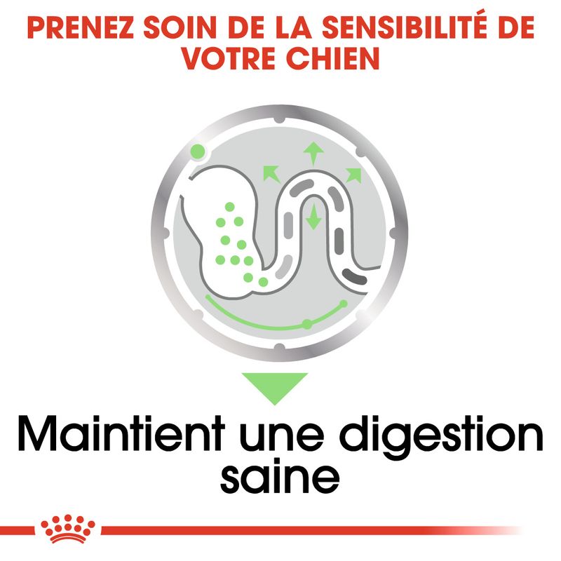 ROYAL CANIN® Digestive Care Mousse - Le Royaume de Lecki