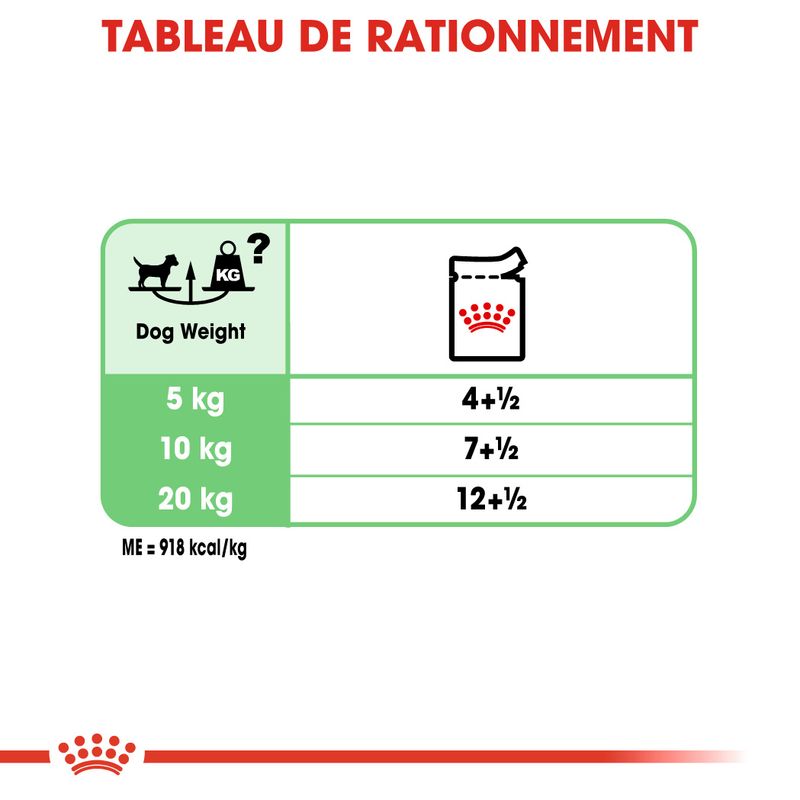ROYAL CANIN® Digestive Care Mousse - Le Royaume de Lecki