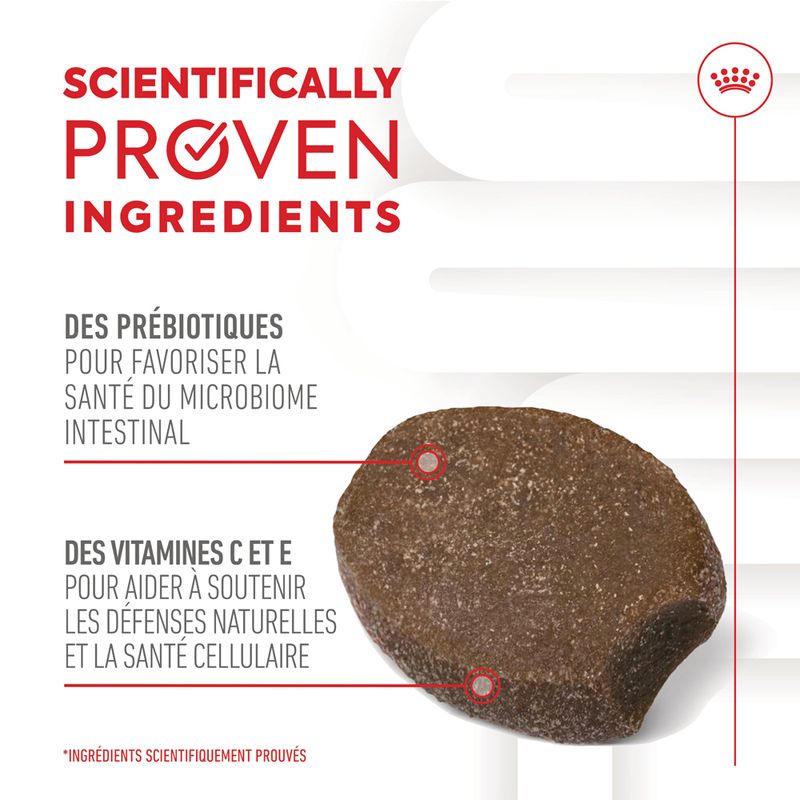 ROYAL CANIN® Immunity & Digestion Puppy Chews - Le Royaume de Lecki