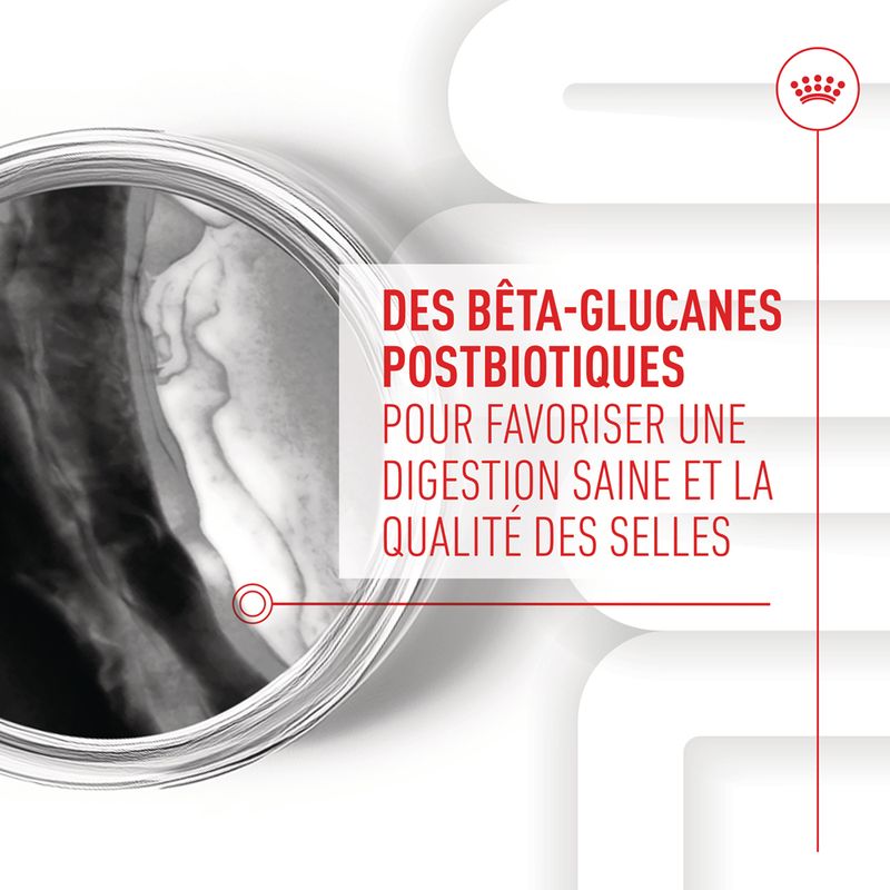 ROYAL CANIN® Immunity & Digestion Puppy Chews - Le Royaume de Lecki