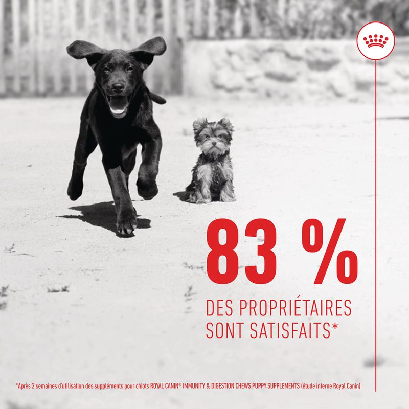 ROYAL CANIN® Immunity & Digestion Puppy Chews - Le Royaume de Lecki