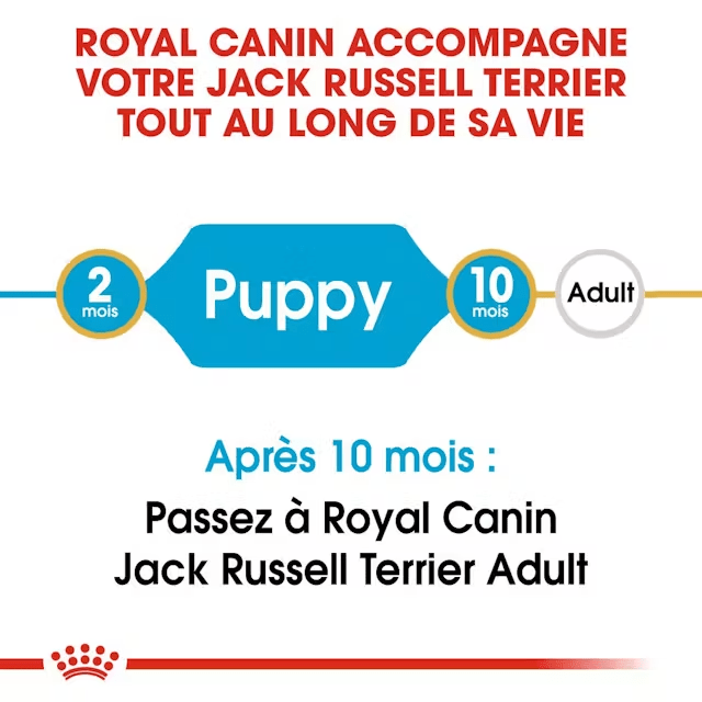 ROYAL CANIN® Jack Russel Terrier Puppy - Le Royaume de Lecki