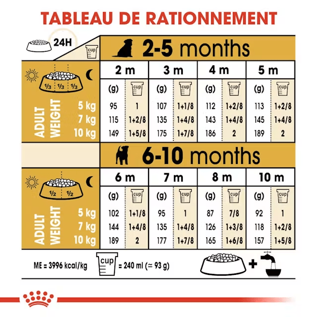 ROYAL CANIN® Jack Russel Terrier Puppy - Le Royaume de Lecki