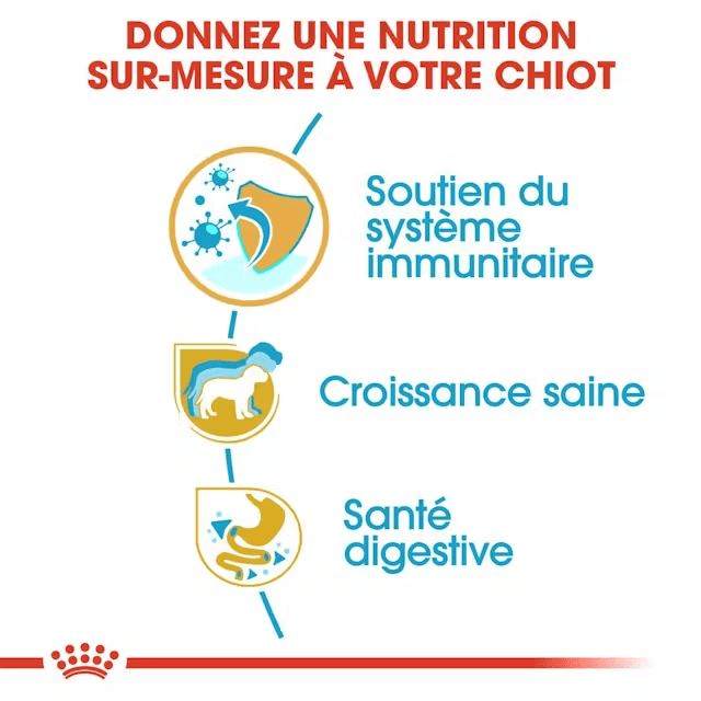 ROYAL CANIN® Jack Russel Terrier Puppy - Le Royaume de Lecki
