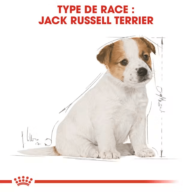 ROYAL CANIN® Jack Russel Terrier Puppy - Le Royaume de Lecki