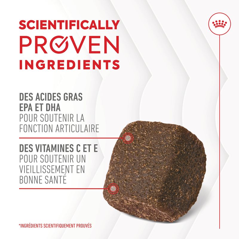 ROYAL CANIN® Joint & Ageing Adult Chews - Le Royaume de Lecki