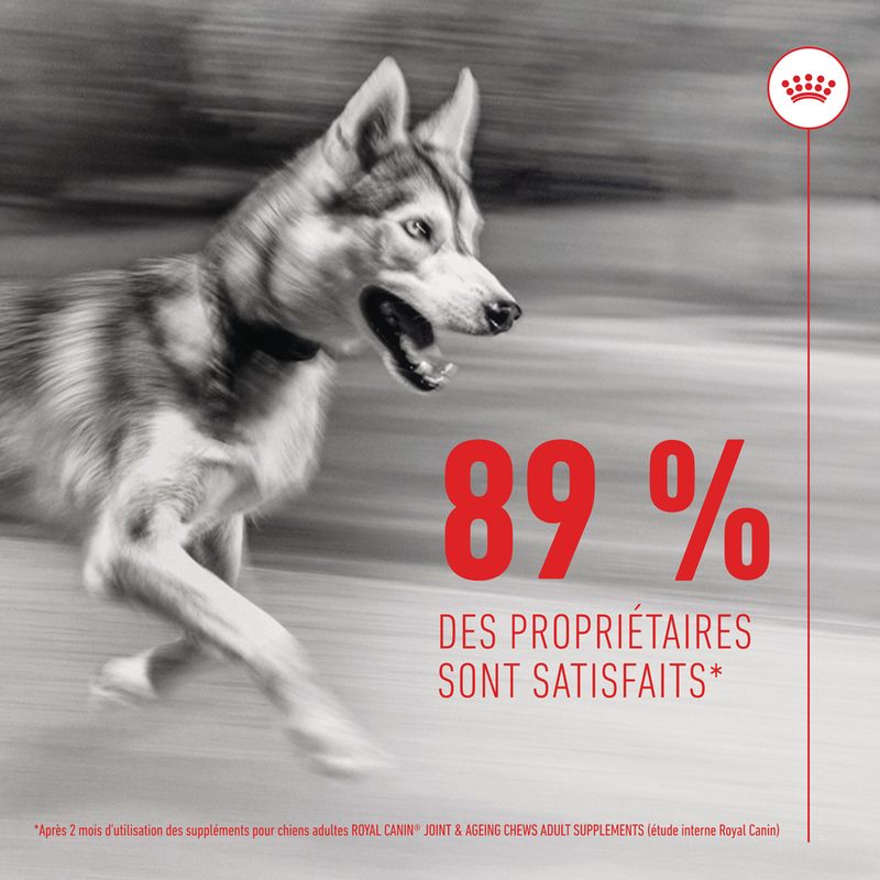 ROYAL CANIN® Joint & Ageing Adult Chews - Le Royaume de Lecki