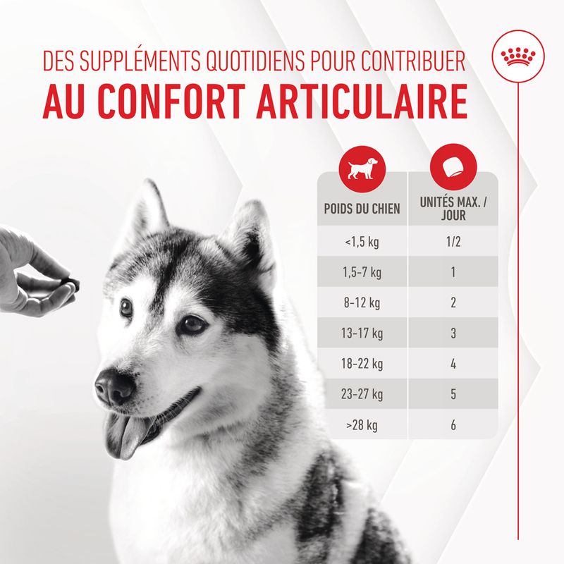 ROYAL CANIN® Joint & Ageing Adult Chews - Le Royaume de Lecki