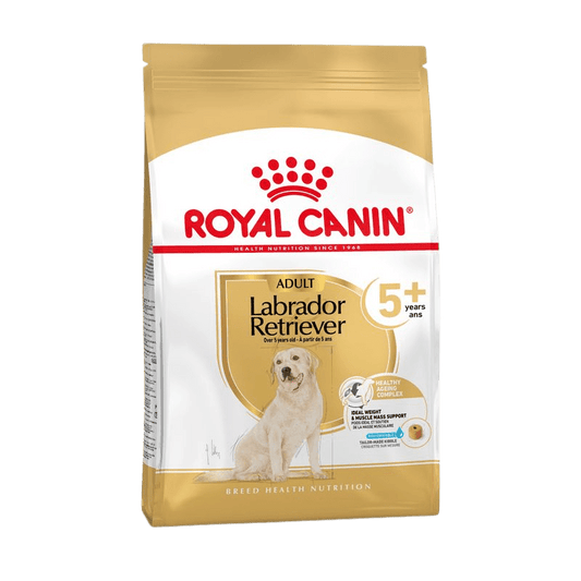 ROYAL CANIN® Labrador Retriever Adult 5+ - Le Royaume de Lecki