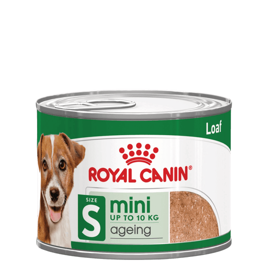 ROYAL CANIN® Mini Ageing 8+ Mousse - Le Royaume de Lecki