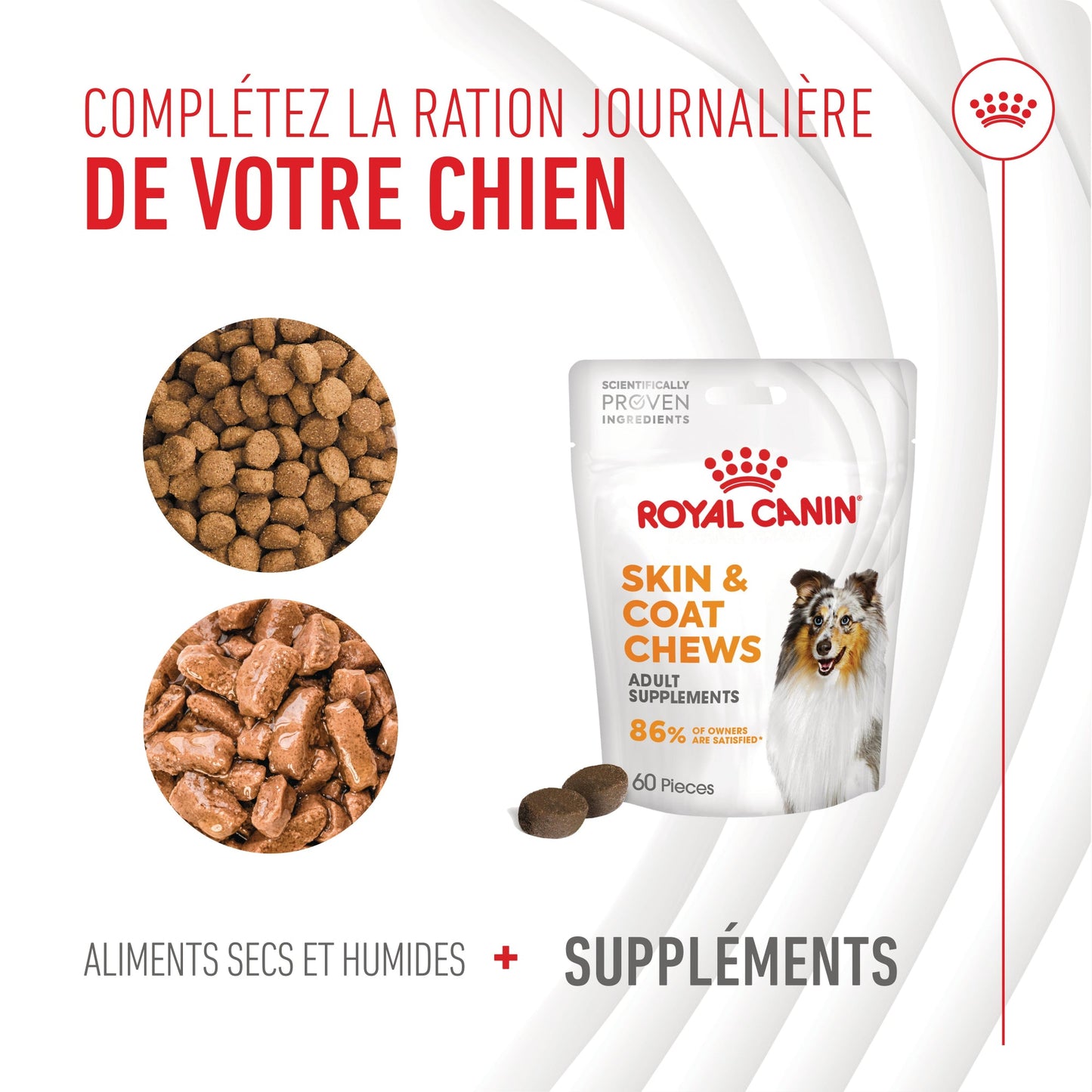 ROYAL CANIN® Skin & Coat Adult Chews - Le Royaume de Lecki