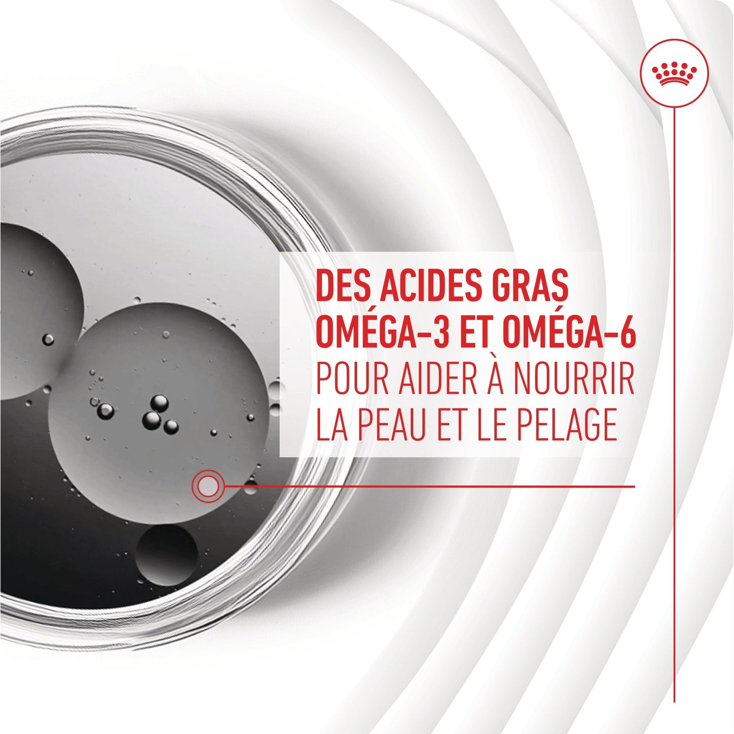ROYAL CANIN® Skin & Coat Adult Chews - Le Royaume de Lecki