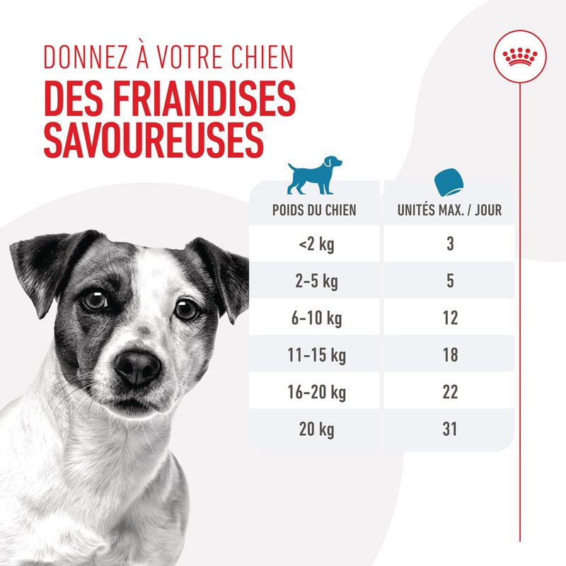 ROYAL CANIN® Training Treats - Le Royaume de Lecki