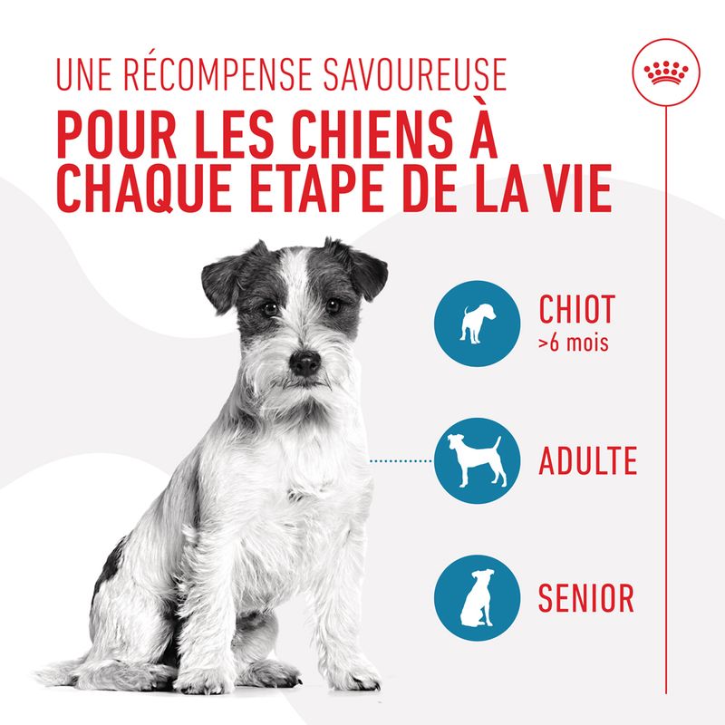 ROYAL CANIN® Training Treats - Le Royaume de Lecki