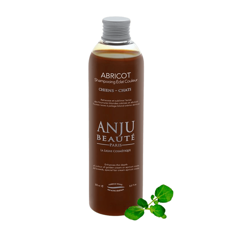 Shampooing Abricot Anju Beauté - Le Royaume de Lecki