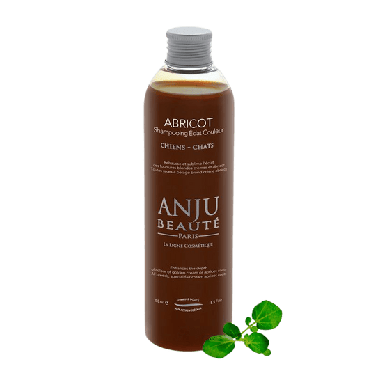 Shampooing Abricot Anju Beauté - Le Royaume de Lecki