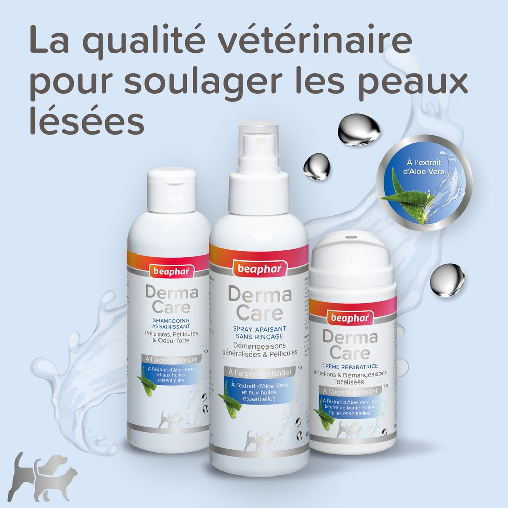 Shampooing assainissant DermaCare Beaphar - Le Royaume de Lecki