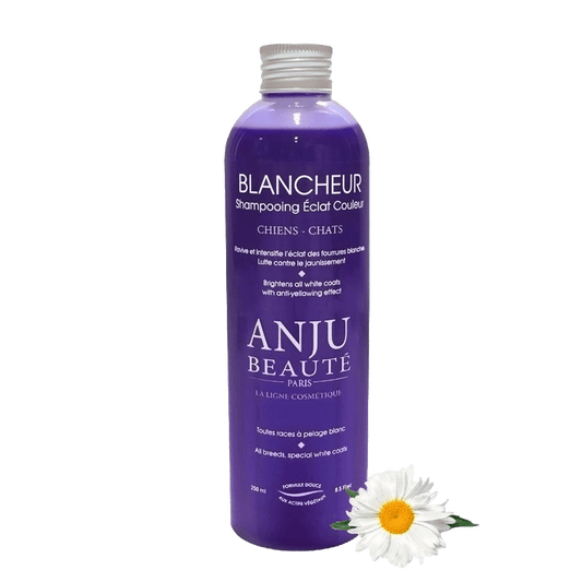 Shampooing Blancheur Anju Beauté - Le Royaume de Lecki