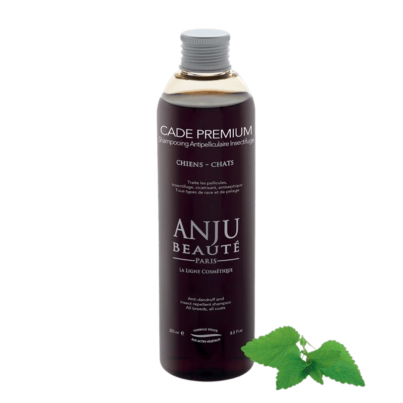 Shampooing Cade Premium Anju Beauté - Le Royaume de Lecki