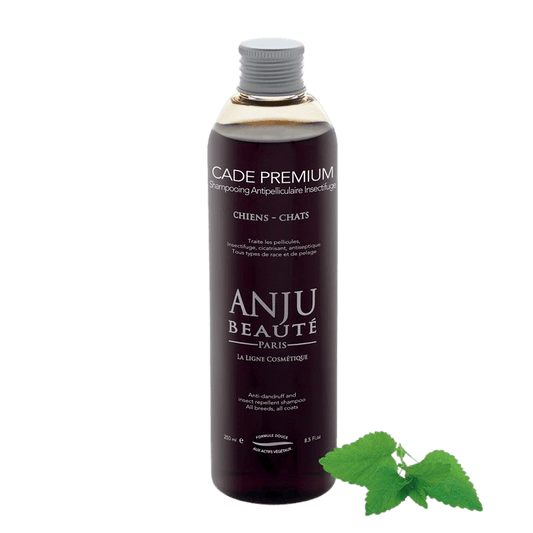 Shampooing Cade Premium Anju Beauté - Le Royaume de Lecki
